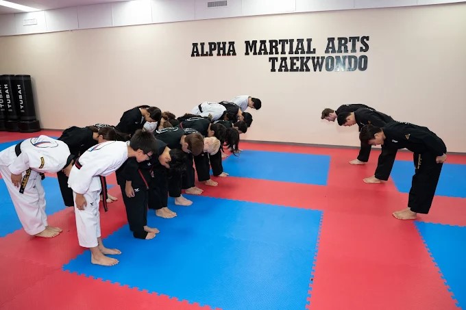 Photo of ALPHA MARTIAL ARTS TAEKWONDO