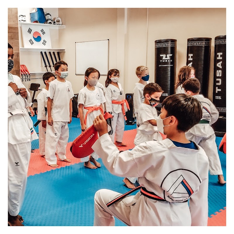 ALPHA MARTIAL ARTS TAEKWONDO photo 5