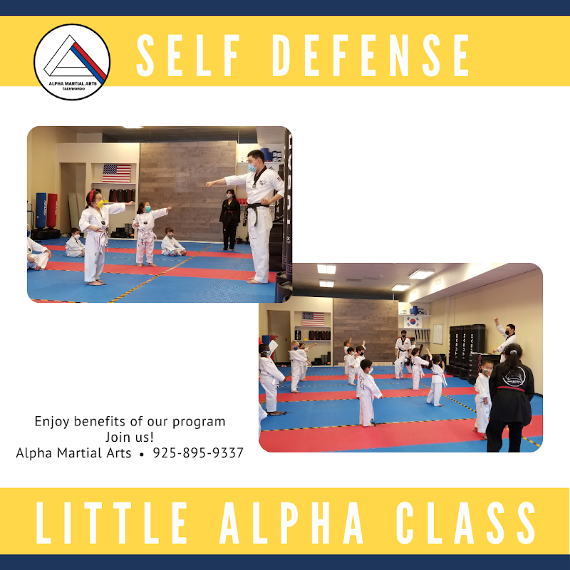 ALPHA MARTIAL ARTS TAEKWONDO photo 3