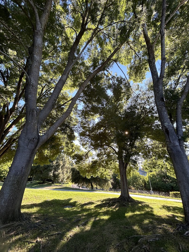 Livorna Park photo 2