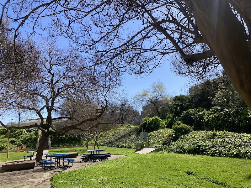 Photo of Toxic plant garden