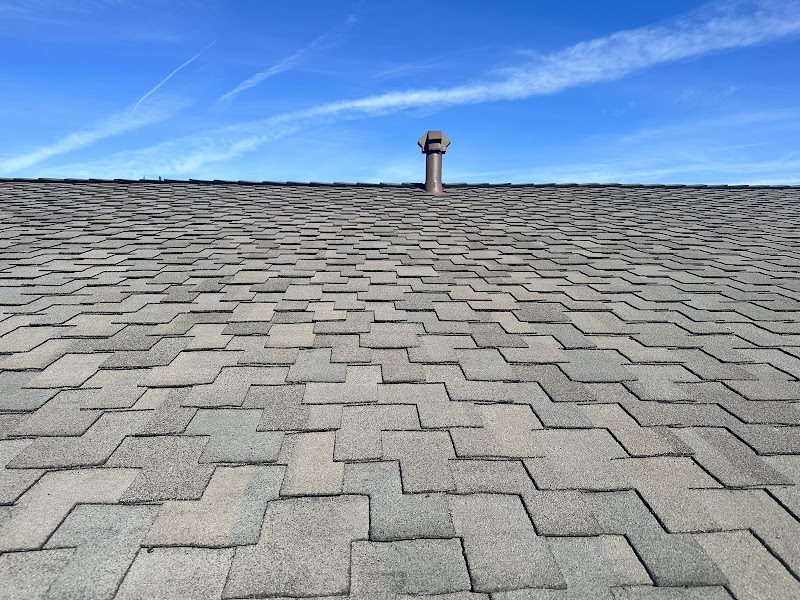 Alpha Roofing photo 2