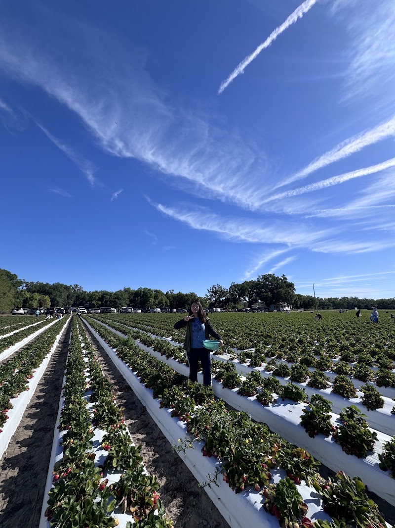 Photo of Spivey Farms