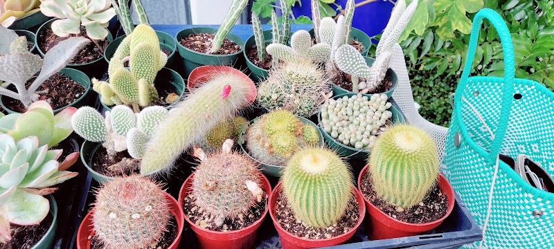 Photo of East Palo Alto Community Farmers' Market