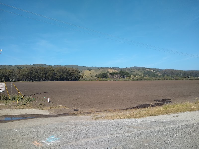 Cabrillo Farms photo 4