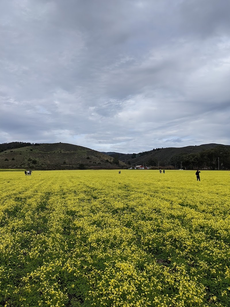 Photo of Cabrillo Farms