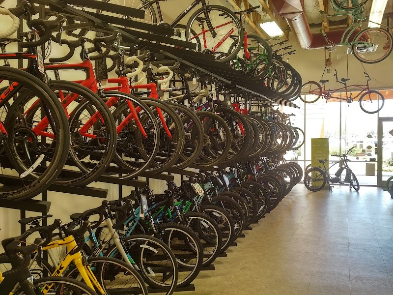 SouthWest Bicycles photo 2