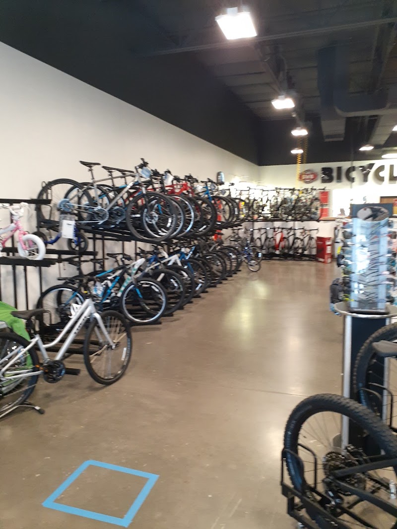 SouthWest Bicycles photo 5