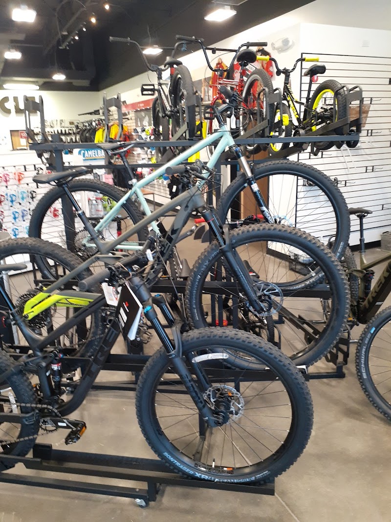 SouthWest Bicycles photo 4