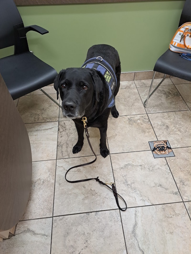 Photo of Lovet Pet Health Care - Verrado