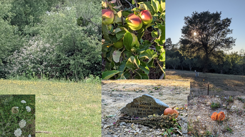 Photo of Sebastopol Memorial Lawn Inc