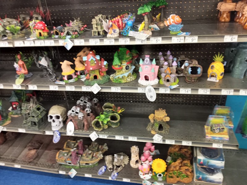 Petco photo 4