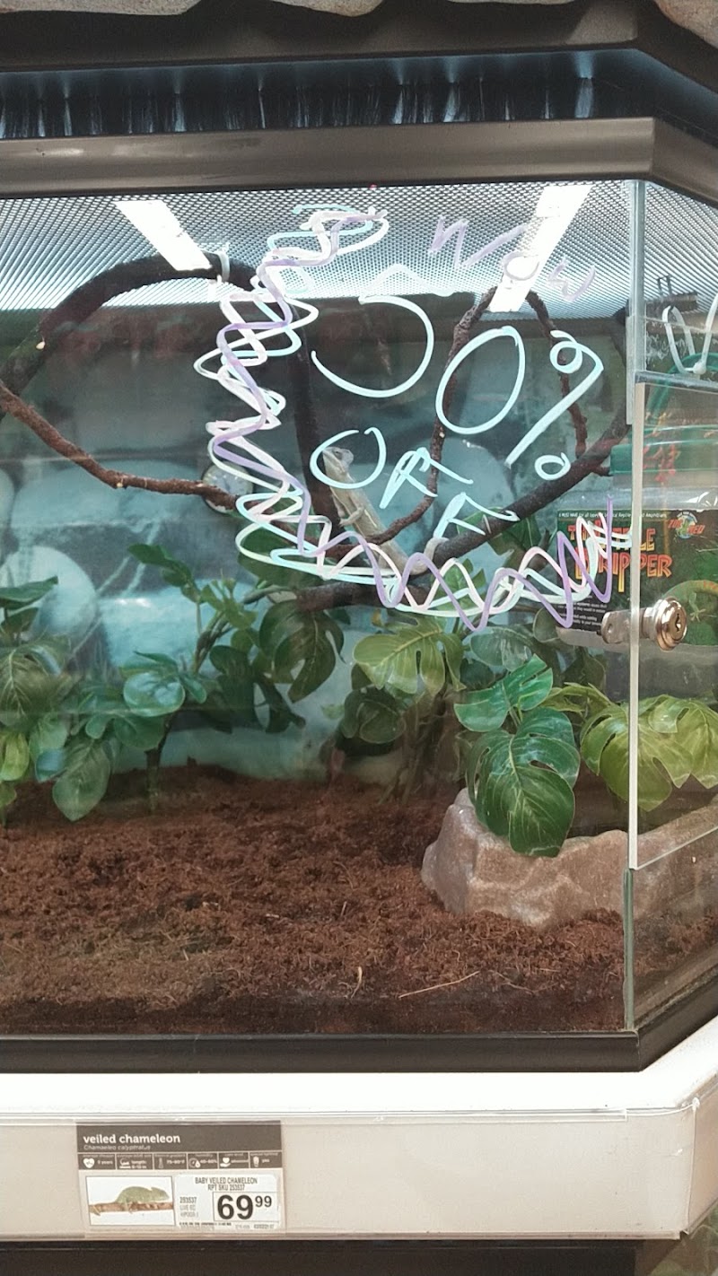 Petco photo 3