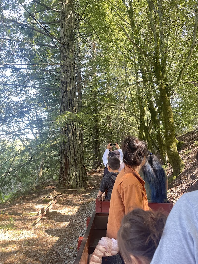 Tilden Stream Train Overflow Parking photo 5