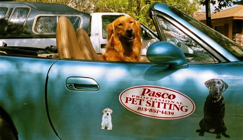 Pasco Professional Pet Sitter photo 4