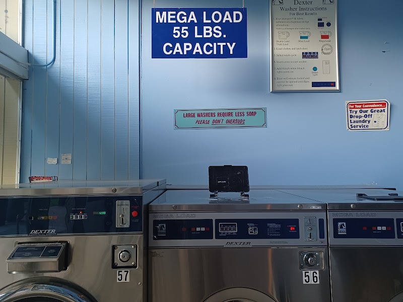 Photo of Teddy Bear Coin Laundry