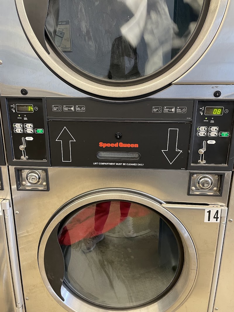 Teddy Bear Coin Laundry photo 2