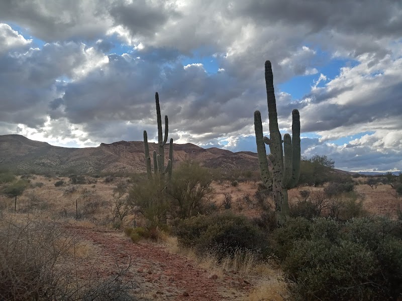 Roosevelt Lake Scenic Overlook photo 2