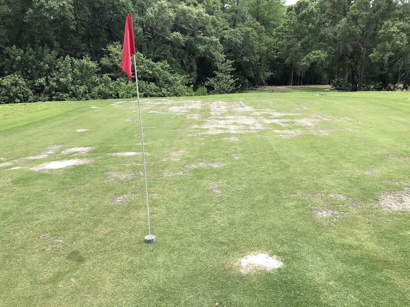 Tarpon Woods Golf Club photo 2