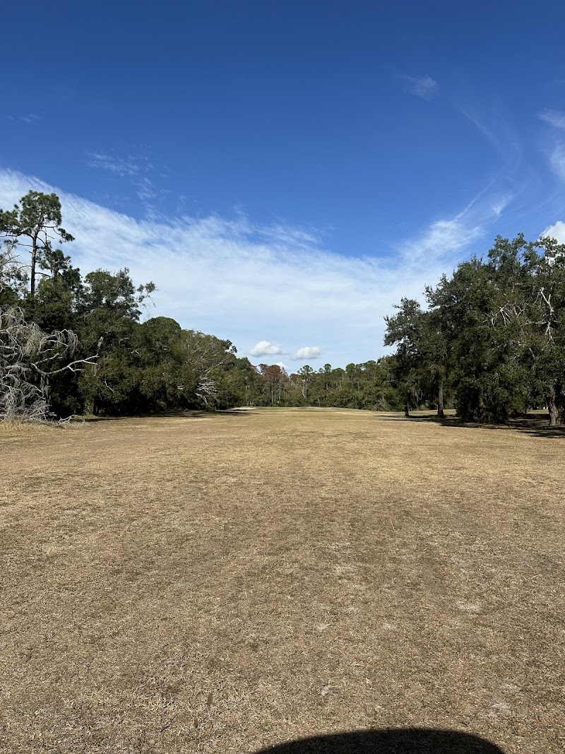 Tarpon Woods Golf Club photo 3