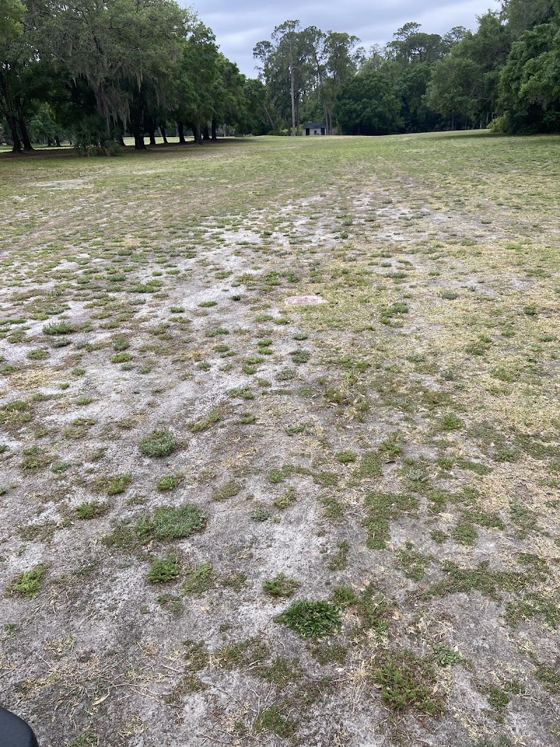 Photo of Tarpon Woods Golf Club