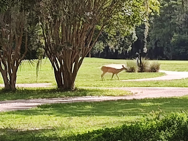 Tarpon Woods Golf Club photo 4