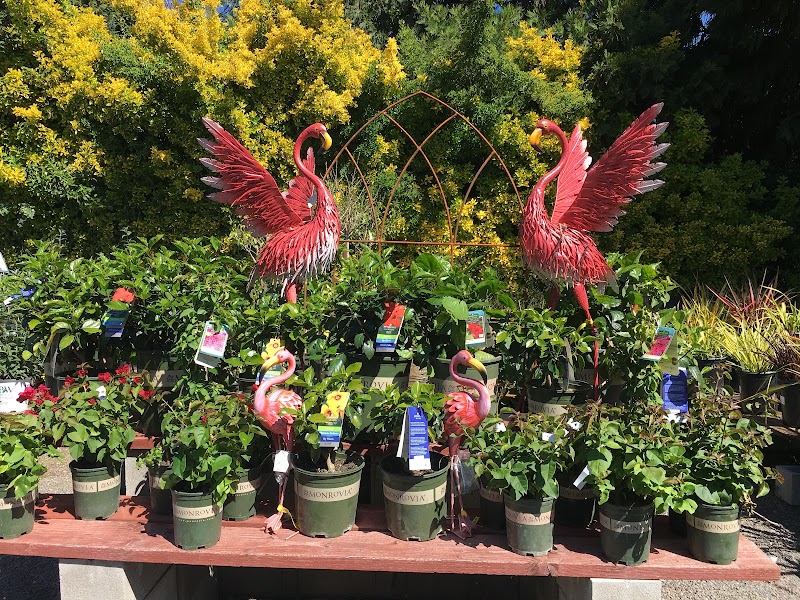 Prickett's Nursery - Healdsburg photo 5