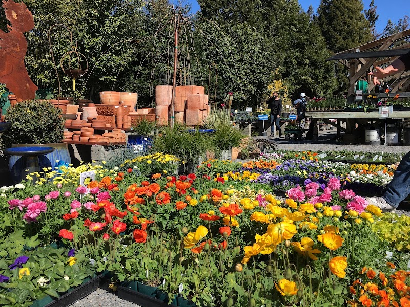 Prickett's Nursery - Healdsburg photo 4