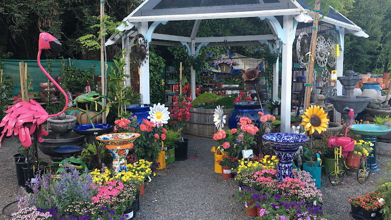 Prickett's Nursery - Healdsburg photo 2