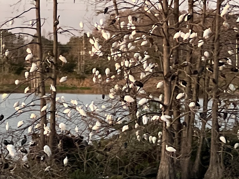 Sawmill Lake photo 2