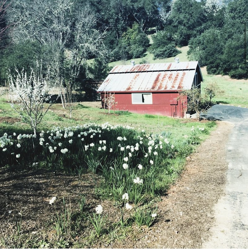 Warm Regards Vacation Rental Management photo 4