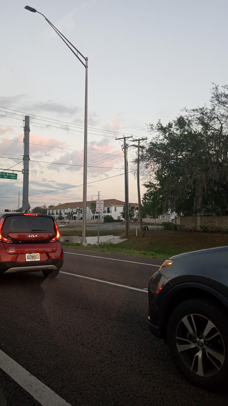 Photo of Fowler Ave @ Morris Bridge Rd