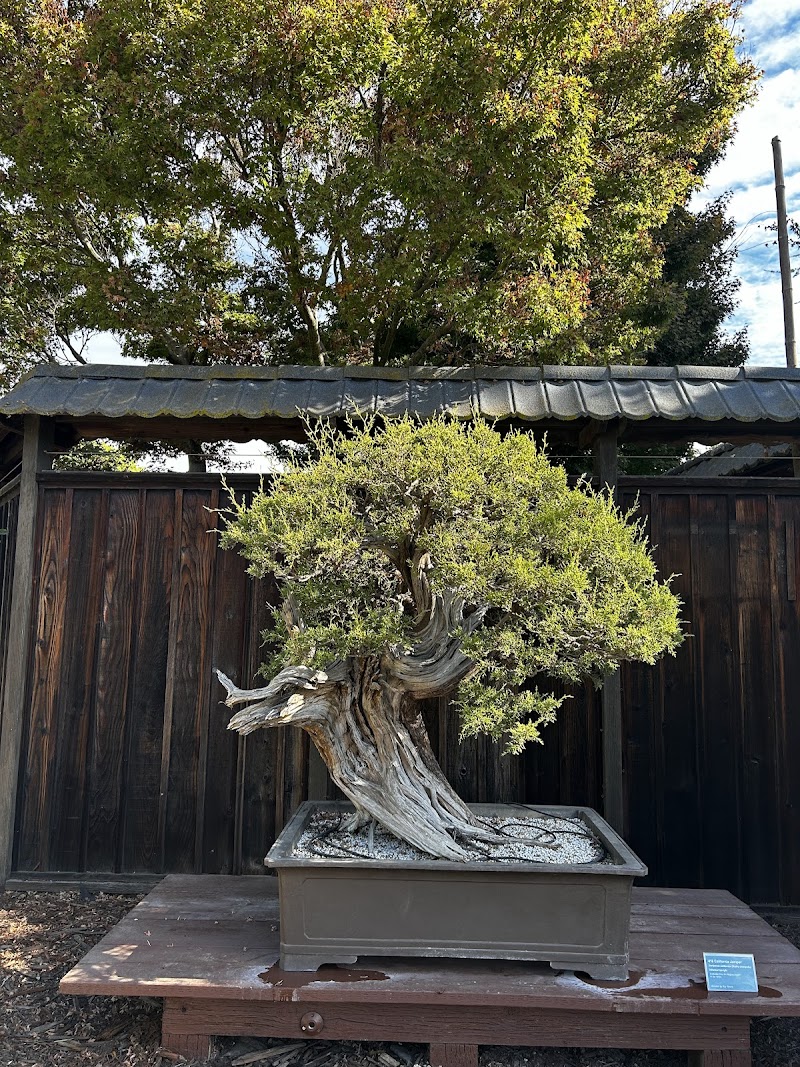 Torii Gate Garden photo 5