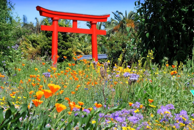 Photo of Torii Gate Garden