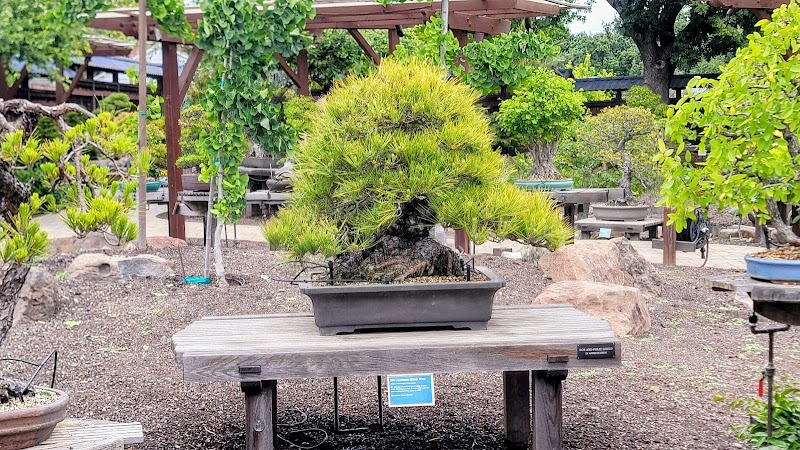 Torii Gate Garden photo 4