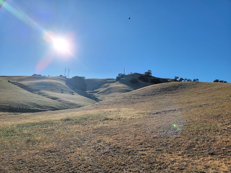 Browns Valley Open Space Preserve photo 4