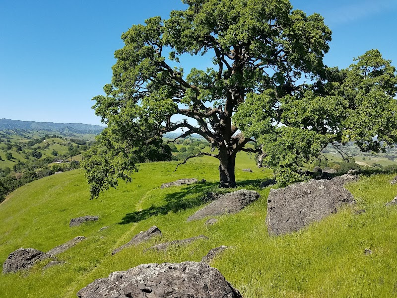 Browns Valley Open Space Preserve photo 3