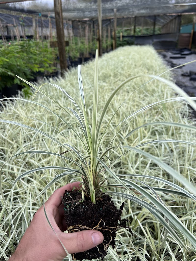 ProGrowers photo 4