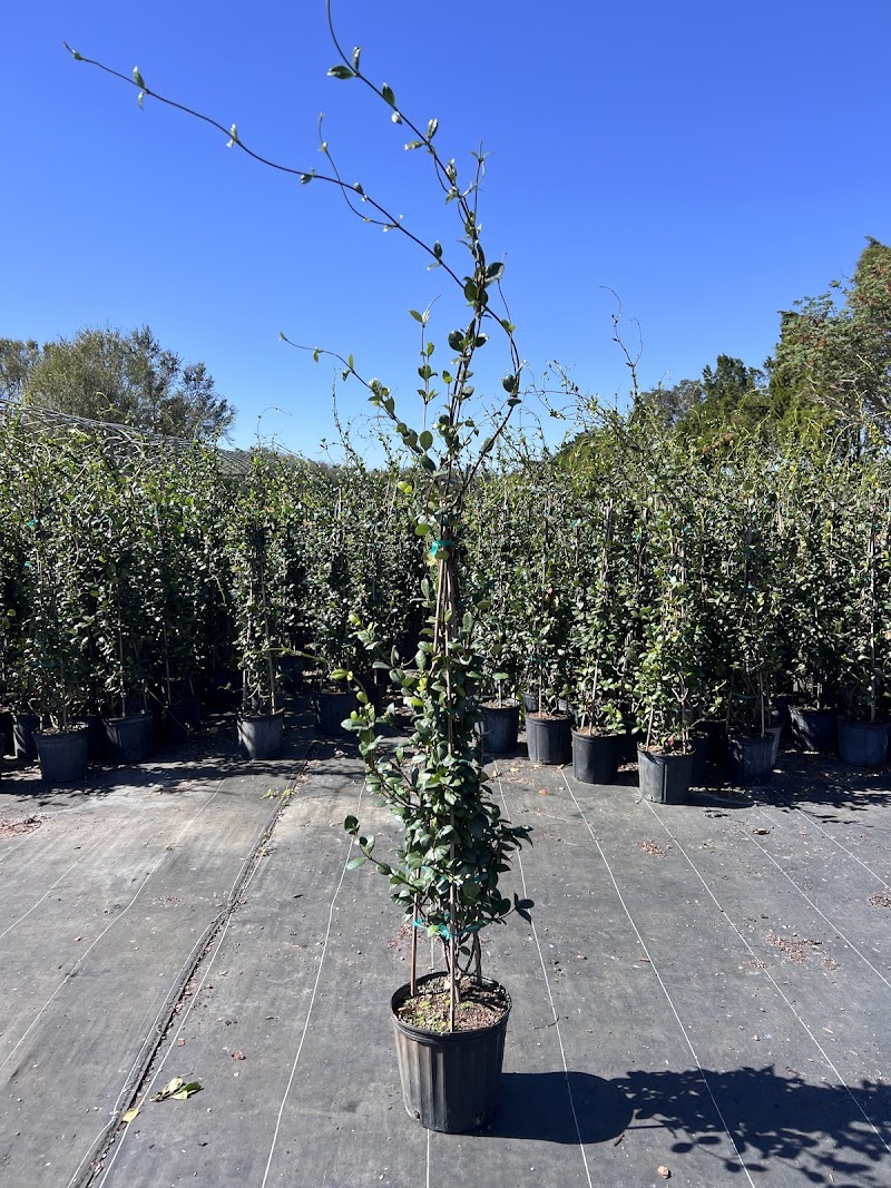 ProGrowers photo 2