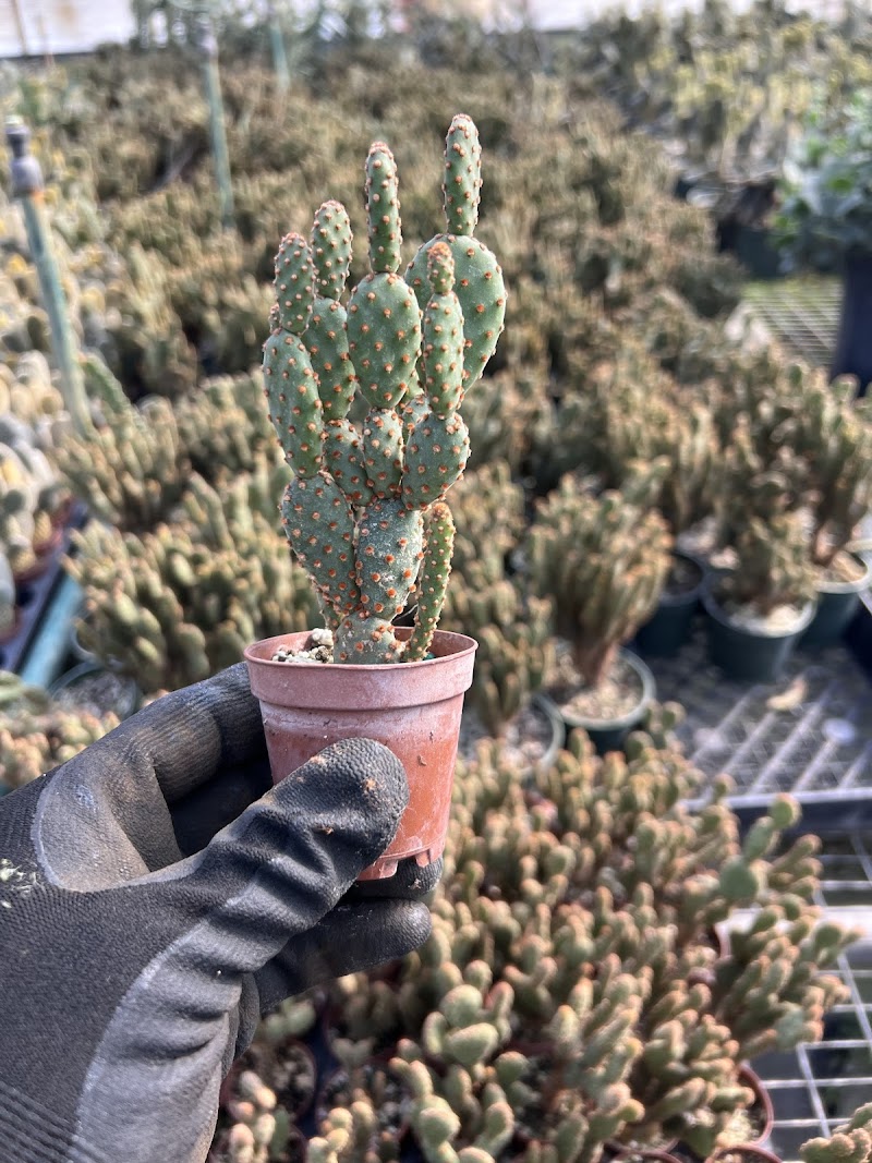 Photo of ProGrowers