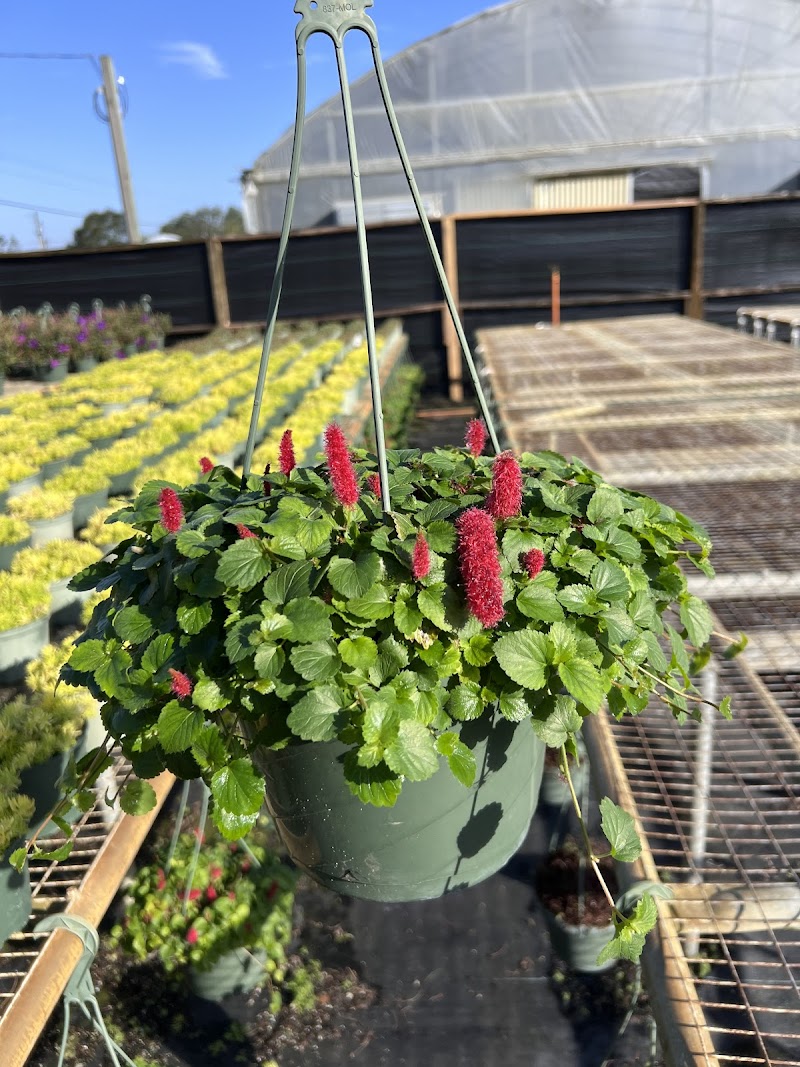 ProGrowers photo 5