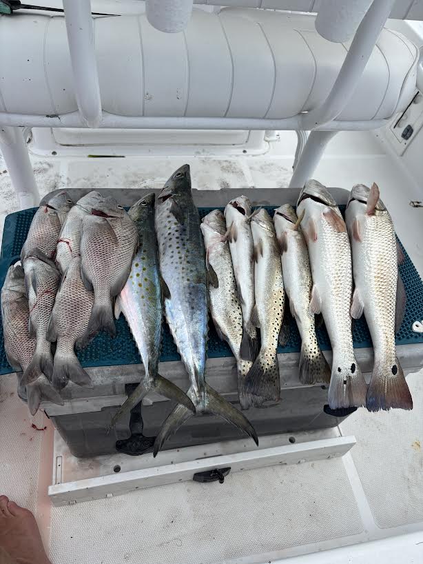 Beachside Charters photo 2