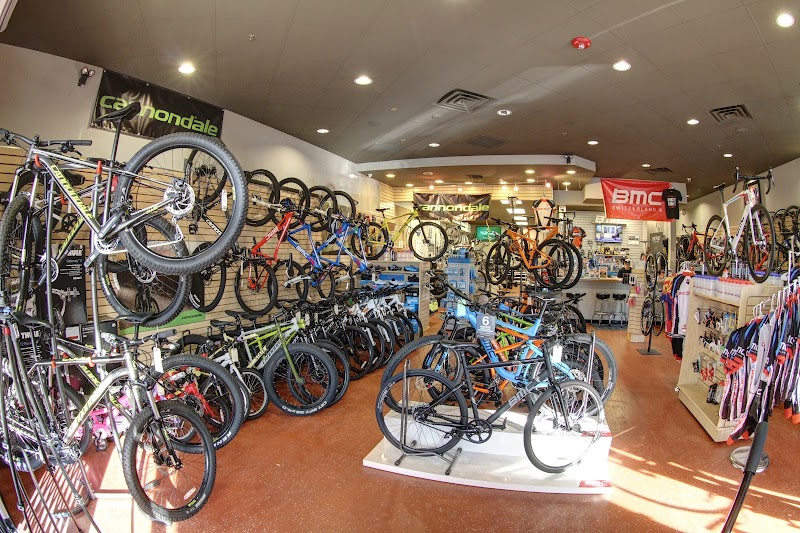 The Bike Shop photo 2