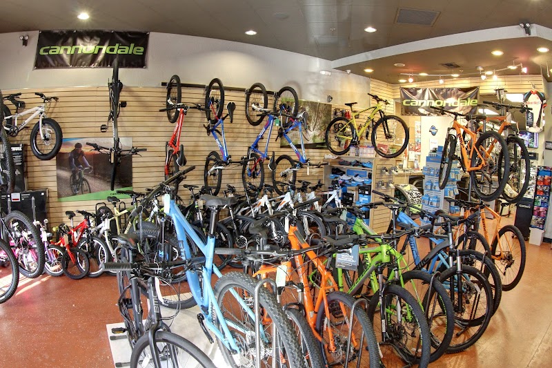 The Bike Shop photo 5