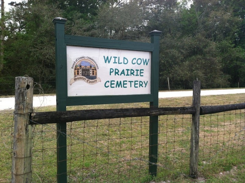 Wild Cow Prairie Cemetery photo 4