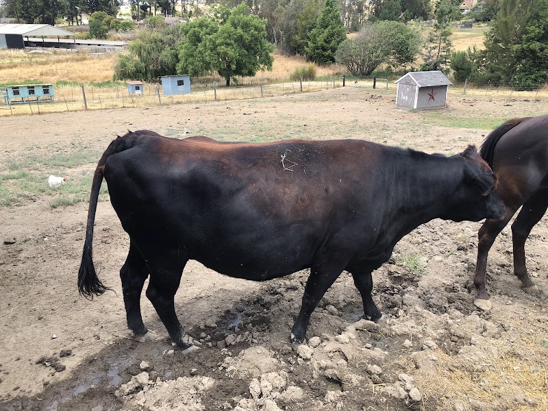 Photo of Bale of Fun Farm