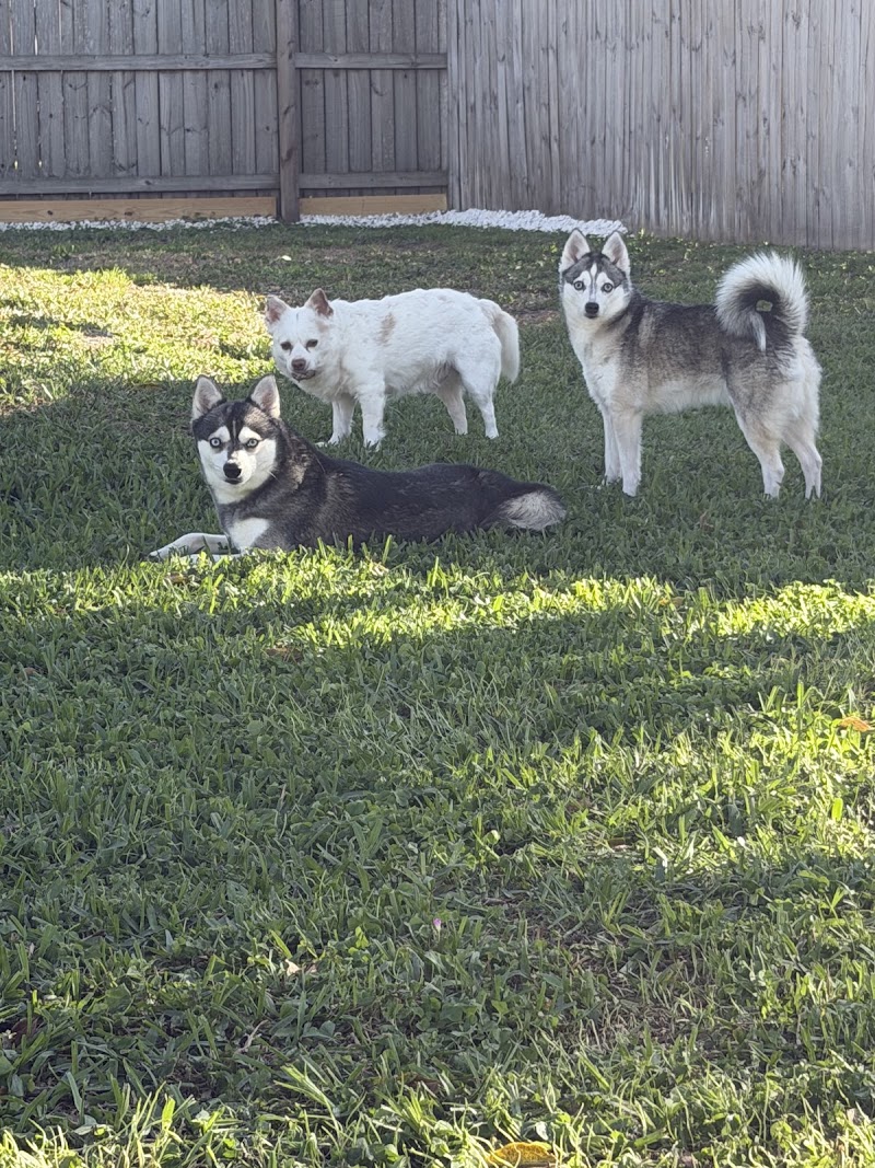 Nanny Annie Premium Petcare photo 2
