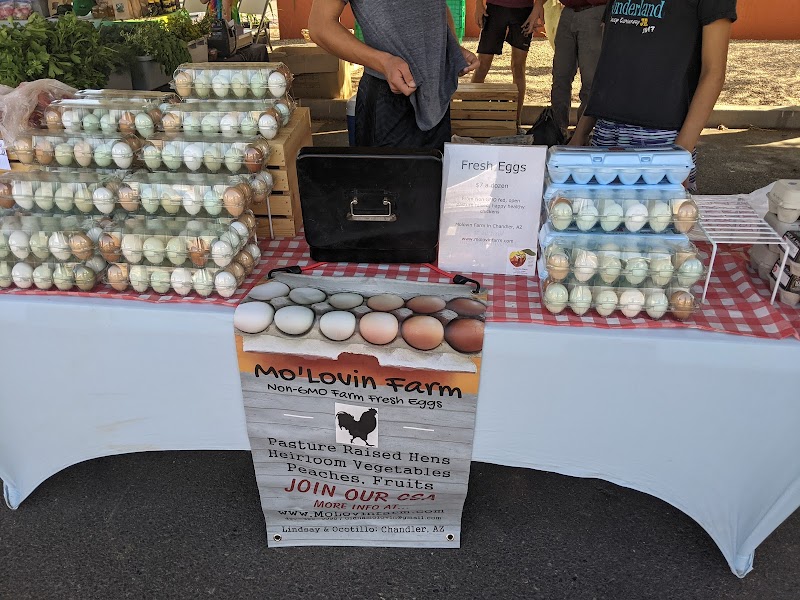 Gilbert Farmers Market photo 3