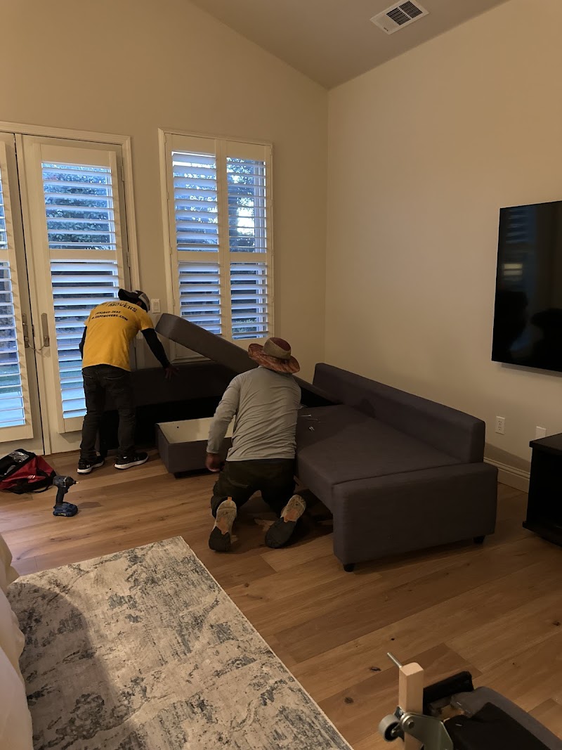 Zapt Movers photo 5