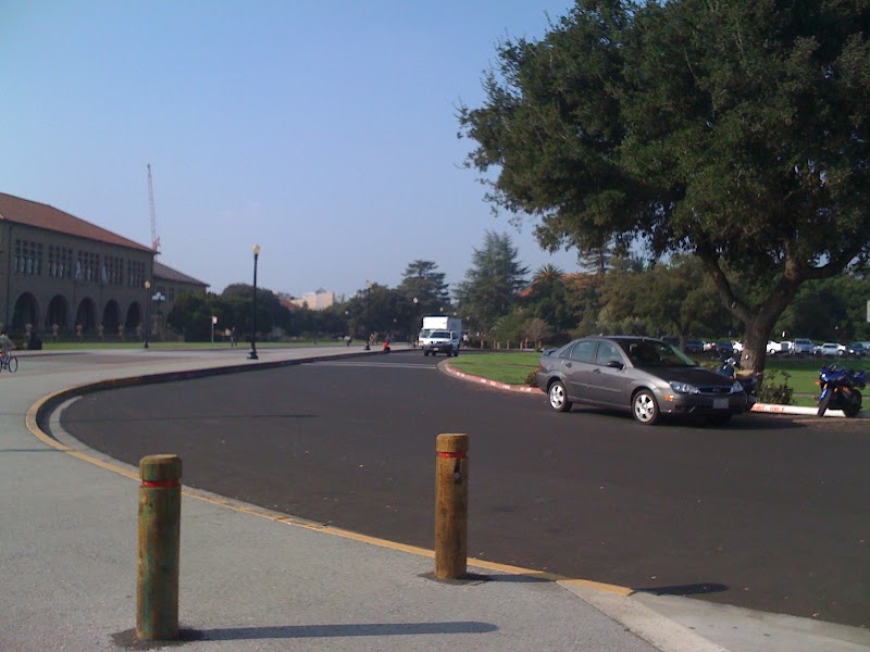 On Jane Stanford Way @ Campus Oval photo 4